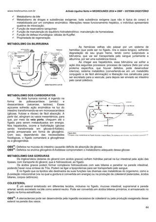 Arlindo Ugulino Netto ● MEDRESUMOS 2016 ● OMF – SISTEMA DIGESTÓRIO
44
www.medresumos.com.br
 Metabolismo da bile
 Metabolismo de drogas e substâncias exógenas: toda substância exógena (que não é típica do corpo) é
metabolizada por um complexo enzimático. Alterações nesse funcionamento hepático, o indivíduo apresentará
quadros de intoxicação.
 Função de reservatório sanguíneo
 Função de manutenção do equilíbrio hidroeletrolítrico: manutenção da homeostase.
 Função de defesa imunológica: células de Kupffer.
 Propriedade de regeneração.
METABOLSMO DA BILIRRUBINA
As hemácias velhas vão passar por um sistema de
hemólise (que pode ser no fígado, rins e ossos longos), sofrendo
degradação de seu grupo heme, tendo como subproduto a
bilirrubina, que vai ser transportada pelo sangue juntamente a
albumina, por ser uma substância tóxica.
Ao chegar aos hepatócitos, essa bilirrubina vai sofrer a
ação dos seguintes processos: processo de captura (feito por uma
proteína específica, que houver defeitos, pode desenvolver
icterícia), sistema metabólico (convertendo-se em um metabólito
conjugado e de fácil eliminação) e liberação nos canalículos para
ser excretado para a vesícula, para depois ser enviado ao intestino
pelo canal colédoco.
METABOLISMO DOS CARBOIDRATOS
Na dieta humana normal, é ingerido na
forma de polissacarídeos (amido) e
dissacarídeos (sacarose, lactose). Esses
açúcares sofrerão ação enzimática na luz do
intestino transformando-se em monossacarídeos
(glicose, frutose e ribose) de fácil absorção. A
partir daí, atingiram os vasos mesentéricos, para
que, por meio da veia porta, cheguem até o
fígado para serem metabolizados em energia.
Nos hepatócitos, ocorre a fosforilação (glicose
sendo transformada em glicose-6-fosfato),
sendo armazenada em forma de glicogênio.
Com isso, dependendo das necessidades
fisiológicas, o fígado comandará a glicogênese
ou a glicogenólise.
OBS
23
: Defeitos na mucosa do intestino causarão déficits de absorção de glicose.
OBS
24
: Defeitos na enzima glicogênio-6-fosfatase comprometem o metabolismo adequado dessa glicose.
METABOLISMO DAS GORDURAS
Os triglicerídeos (ésteres do glicerol com ácidos graxos) sofrem hidrólise parcial na luz intestinal pela ação das
lípases, com transporte do glicerol, que é hidrossolúvel, ao fígado.
Os ácidos graxos podem formar complexos hidrossolúveis com sais biliares e penetrar na parede intestinal,
podendo haver nova síntese de TGs. Podem se ligar a lipoproteínas para ser transportado pelo sangue.
É no fígado que os lipídios são destinados às suas funções nas diversas vias metabólicas do organismo, como a
β-oxidação mitocondrial (via na qual a gordura é convertida em energia) ou na produção de colesterol (esteroides, ácidos
biliares, corpos cetônicos).
COLESTEROL
É um esterol sintetizado em diferentes tecidos, inclusive no fígado, mucosa intestinal, suprarrenal e parede
arterial, sendo excretado na bile como esterol neutro. Pode ser convertido em ácidos biliares primários; é armazenado no
fígado na forma estratificada.
OBS
25
: A aterosclerose pode ser desenvolvida pela ingestão excessiva de colesterol ou pela produção exagerada desse
esterol na parede dos vasos.
 
