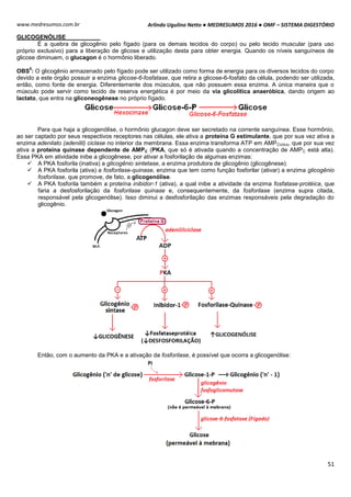 Arlindo Ugulino Netto ● MEDRESUMOS 2016 ● OMF – SISTEMA DIGESTÓRIO
51
www.medresumos.com.br
GLICOGENÓLISE
É a quebra de glicogênio pelo fígado (para os demais tecidos do corpo) ou pelo tecido muscular (para uso
próprio exclusivo) para a liberação de glicose e utilização desta para obter energia. Quando os níveis sanguíneos de
glicose diminuem, o glucagon é o hormônio liberado.
OBS
5
: O glicogênio armazenado pelo fígado pode ser utilizado como forma de energia para os diversos tecidos do corpo
devido a este órgão possuir a enzima glicose-6-fosfatase, que retira a glicose-6-fosfato da célula, podendo ser utilizada,
então, como fonte de energia. Diferentemente dos músculos, que não possuem essa enzima. A única maneira que o
músculo pode servir como tecido de reserva energética é por meio da via glicolítica anaeróbica, dando origem ao
lactato, que entra na gliconeogênese no próprio fígado.
Para que haja a glicogenólise, o hormônio glucagon deve ser secretado na corrente sanguínea. Esse hormônio,
ao ser captado por seus respectivos receptores nas células, ele ativa a proteína G estimulante, que por sua vez ativa a
enzima adenilato (adenilil) ciclase no interior da membrana. Essa enzima transforma ATP em AMPCíclico, que por sua vez
ativa a proteína quinase dependente de AMPC (PKA, que só é ativada quando a concentração de AMPC está alta).
Essa PKA em atividade inibe a glicogênese, por ativar a fosforilação de algumas enzimas:
 A PKA fosforila (inativa) a glicogênio sintetase, a enzima produtora de glicogênio (glicogênese).
 A PKA fosforila (ativa) a fosforilase-quinase, enzima que tem como função fosforilar (ativar) a enzima glicogênio
fosforilase, que promove, de fato, a glicogenólise.
 A PKA fosforila também a proteína inibidor-1 (ativa), a qual inibe a atividade da enzima fosfatase-protéica, que
faria a desfosforilação da fosforilase quinase e, consequentemente, da fosforilase (enzima supra citada,
responsável pela glicogenólise). Isso diminui a desfosforilação das enzimas responsáveis pela degradação do
glicogênio.
Então, com o aumento da PKA e a ativação da fosforilase, é possível que ocorra a glicogenólise:
 