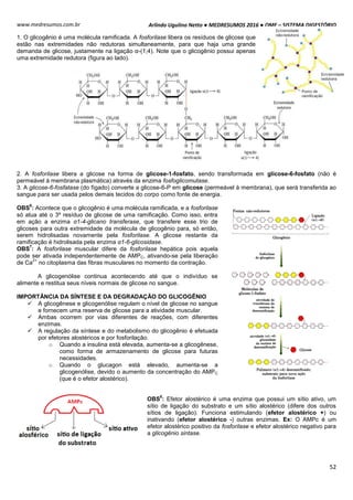 Arlindo Ugulino Netto ● MEDRESUMOS 2016 ● OMF – SISTEMA DIGESTÓRIO
52
www.medresumos.com.br
1. O glicogênio é uma molécula ramificada. A fosforilase libera os resíduos de glicose que
estão nas extremidades não redutoras simultaneamente, para que haja uma grande
demanda de glicose, justamente na ligação α-(1;4). Note que o glicogênio possui apenas
uma extremidade redutora (figura ao lado).
2. A fosforilase libera a glicose na forma de glicose-1-fosfato, sendo transformada em glicose-6-fosfato (não é
permeável à membrana plasmática) através da enzima fosfoglicomutase.
3. A glicose-6-fosfatase (do fígado) converte a glicose-6-P em glicose (permeável à membrana), que será transferida ao
sangue para ser usada pelos demais tecidos do corpo como fonte de energia.
OBS
6
: Acontece que o glicogênio é uma molécula ramificada, e a fosforilase
só atua até o 3º resíduo de glicose de uma ramificação. Como isso, entra
em ação a enzima α1-4-glicano transferase, que transfere esse trio de
glicoses para outra extremidade da molécula de glicogênio para, só então,
serem hidrolisadas novamente pela fosforilase. A glicose restante da
ramificação é hidrolisada pela enzima α1-6-glicosidase.
OBS
7
: A fosforilase muscular difere da fosforilase hepática pois aquela
pode ser ativada independentemente de AMPC, ativando-se pela liberação
de Ca
2+
no citoplasma das fibras musculares no momento da contração.
A glicogenólise continua acontecendo até que o indivíduo se
alimente e restitua seus níveis normais de glicose no sangue.
IMPORTÂNCIA DA SÍNTESE E DA DEGRADAÇÃO DO GLICOGÊNIO
 A glicogênese e glicogenólise regulam o nível de glicose no sangue
e fornecem uma reserva de glicose para a atividade muscular.
 Ambas ocorrem por vias diferentes de reações, com diferentes
enzimas.
 A regulação da síntese e do metabolismo do glicogênio é efetuada
por efetores alostéricos e por fosforilação.
o Quando a insulina está elevada, aumenta-se a glicogênese,
como forma de armazenamento de glicose para futuras
necessidades.
o Quando o glucagon está elevado, aumenta-se a
glicogenólise, devido o aumento da concentração do AMPC
(que é o efetor alostérico).
OBS
8
: Efetor alostérico é uma enzima que possui um sítio ativo, um
sítio de ligação do substrato e um sítio alostérico (difere dos outros
sítios de ligação). Funciona estimulando (efetor alostérico +) ou
inativando (efetor alostérico -) outras enzimas. Ex: O AMPc é um
efetor alostérico positivo da fosforilase e efetor alostérico negativo para
a glicogênio sintase.
 