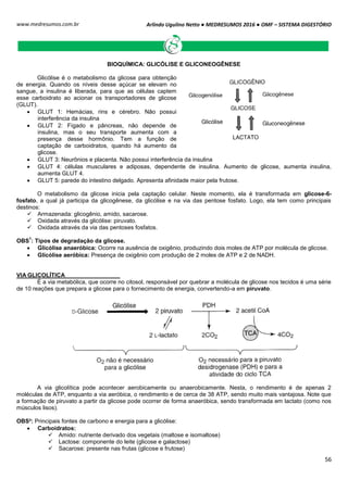 Arlindo Ugulino Netto ● MEDRESUMOS 2016 ● OMF – SISTEMA DIGESTÓRIO
56
www.medresumos.com.br
BIOQUÍMICA: GLICÓLISE E GLICONEOGÊNESE
Glicólise é o metabolismo da glicose para obtenção
de energia. Quando os níveis desse açúcar se elevam no
sangue, a insulina é liberada, para que as células captem
esse carboidrato ao acionar os transportadores de glicose
(GLUT).
 GLUT 1: Hemácias, rins e cérebro. Não possui
interferência da insulina
 GLUT 2: Fígado e pâncreas, não depende de
insulina, mas o seu transporte aumenta com a
presença desse hormônio. Tem a função de
captação de carboidratos, quando há aumento da
glicose.
 GLUT 3: Neurônios e placenta. Não possui interferência da insulina
 GLUT 4: células musculares e adiposas, dependente de insulina. Aumento de glicose, aumenta insulina,
aumenta GLUT 4.
 GLUT 5: parede do intestino delgado. Apresenta afinidade maior pela frutose.
O metabolismo da glicose inicia pela captação celular. Neste momento, ela é transformada em glicose-6-
fosfato, a qual já participa da glicogênese, da glicólise e na via das pentose fosfato. Logo, ela tem como principais
destinos:
 Armazenada: glicogênio, amido, sacarose.
 Oxidada através da glicólise: piruvato.
 Oxidada através da via das pentoses fosfatos.
OBS
1
: Tipos de degradação da glicose.
 Glicólise anaeróbica: Ocorre na ausência de oxigênio, produzindo dois moles de ATP por molécula de glicose.
 Glicólise aeróbica: Presença de oxigênio com produção de 2 moles de ATP e 2 de NADH.
VIA GLICOLÍTICA
É a via metabólica, que ocorre no citosol, responsável por quebrar a molécula de glicose nos tecidos é uma série
de 10 reações que prepara a glicose para o fornecimento de energia, convertendo-a em piruvato.
A via glicolítica pode acontecer aerobicamente ou anaerobicamente. Nesta, o rendimento é de apenas 2
moléculas de ATP, enquanto a via aeróbica, o rendimento e de cerca de 38 ATP, sendo muito mais vantajosa. Note que
a formação de piruvato a partir da glicose pode ocorrer de forma anaeróbica, sendo transformada em lactato (como nos
músculos lisos).
OBS²: Principais fontes de carbono e energia para a glicólise:
 Carboidratos:
 Amido: nutriente derivado dos vegetais (maltose e isomaltose)
 Lactose: componente do leite (glicose e galactose)
 Sacarose: presente nas frutas (glicose e frutose)
 