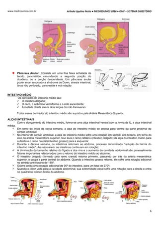 Arlindo Ugulino Netto ● MEDRESUMOS 2016 ● OMF – SISTEMA DIGESTÓRIO
6
www.medresumos.com.br
Pâncreas Anular: Consiste em uma fina faixa achatada de
tecido pancreático circundando a segunda porção do
duodeno, ou a porção descendente. Um pâncreas anular
poder estar associado a síndrome de Down, atresia intestinal,
ânus não perfurado, pancreatite e má rotação.
INTESTINO MÉDIO
Os derivados do intestino médio são:
 O intestino delgado;
 O ceco, o apêndice vermiforme e o colo ascendente;
 A metade direita até os dois terços do colo transverso.
Todos esses derivados do intestino médio são supridos pela Artéria Mesentérica Superior.
ALÇAS INTESTINAIS
Com o alongamento do intestino médio, forma-se uma alça intestinal ventral com a forma de U, a alça intestinal
média.
 Em torno do início da sexta semana, a alça do intestino médio se projeta para dentro da parte proximal do
cordão umbilical;
 No interior do cordão umbilical, a alça do intestino médio sofre uma rotação em sentido anti-horário, em torno do
eixo da artéria mesentérica superior. Isso leva o ramo cefálico (intestino delgado) da alça do intestino médio para
a direita e o ramo caudal (intestino grosso) para a esquerda;
 Durante a décima semana, os intestinos retornam ao abdome, processo denominado “redução da hérnia do
intestino médio”. Ao retornarem, os intestinos continuam em rotação;
 A diminuição do tamanho relativo do fígado e dos rins e o aumento da cavidade abdominal são provavelmente
fatores importantes relacionados com o retorno do intestino médio ao abdome;
 O intestino delgado (formado pelo ramo cranial) retorna primeiro, passando por trás da artéria mesentérica
superior, e ocupa a parte central do abdome. Quando o intestino grosso retorna, ele sofre uma rotação adicional
no sentido anti-horário de 180º;
 Ocorre ainda uma rotação adicional de 90º do intestino, para um total de 270º;
 Quando o cólon volta para a cavidade abdominal, sua extremidade cecal sofre uma rotação para a direita e entra
no quadrante inferior direito do abdome.
 