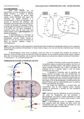 Arlindo Ugulino Netto ● MEDRESUMOS 2016 ● OMF – SISTEMA DIGESTÓRIO
60
www.medresumos.com.br
GLICONEOGÊNESE
Após uma refeição rica em
carboidratos, os níveis de glicose se elevam.
Nesse momento, a insulina é liberada
facilitando a captação de glicose pelas
células, sendo fosforilada para seguir três
caminhos. Um desses caminhos é o
armazenamento e forma de glicogênio, que
durante os intervalos das refeições, será
degradado para fornecimento de energia com
o auxílio da liberação de glucagon. Porém,
esse glicogênio se esgota em um prazo de 18
a 24 horas. Em um jejum prolongado, o
organismo lança mão de outro meio para
buscar energia, como a gliconeogênese ou a
lipólise (β-oxidação).
A gliconeogênese é a formação de
glicose a partir de substâncias que não são
carboidratos: piruvato, lactato, alanina e
glicerol. É uma via universal encontrada em
todos os animais, vegetais, fungos e
microorganismos.
OBS
8
: A alanina utilizada na gliconeogênese é garantida pela dieta (resultado da degradação protéica), pois o organismo
dificilmente utiliza proteínas armazenadas no corpo (massa magra), uma vez que elas são essenciais para inúmeras
outras funções.
A gliconeogênese, assim como na glicólise, ocorre por meio de 10 reações (que resultam em piruvato). A
diferença, é que a primeira se dá no percurso inverso da segunda, em que teremos piruvato dando origem a glicose.
Sete, das 10 enzimas da glicólise, são as mesmas. Mudam apenas as enzimas das reações irreversíveis (hexocinase –
1ª; frutocinase-1 – 3ª; e piruvato quinase-10ª).
FORMAÇÃO DE GLICOSE A PARTIR DO LACTATO
O lactato é formado a partir de piruvato quando a
via glicolítica segue na ausência de oxigênio, como em um
músculo em atividade intensa. Vale lembrar também que,
nessa condição anaeróbica, até o NAD é reoxidado. Na
presença de O2, o piruvato segue o ciclo de Krebs,
resultando em CO2 e H2O.
O glicogênio é quebrado pela via glicolítica até
formar piruvato (muscular), que será transformado em
lactato pela enzima lactato desidrogenase. Este cairá na
corrente sanguínea para ser novamente transformado em
piruvato no fígado pela mesma enzima (reação reversível),
para seguir a via da gliconeogênese, transformando-se em
glicose-6-fosfato para ser disponibilizada para os diversos
tecidos para obtenção de energia.
Ao chegar aos hepatócitos, o piruvato entra nas
mitocôndrias, pois só esta organela possui enzimas
capazes de transformar o piruvato em uma substância
gliconeogênica.
OBS
9
: Indivíduos que tem deficiência na enzima biotinase,
vão sofrer de hipoglicemia por não acontecer a
gliconeogênese, que tende a manter constantes os níveis
glicêmicos (homeostase). O exame desta enzima é parte
do “teste do pezinho”.
OBS
10
: A gliconeogênese ocorre no citoplasma, apenas
essa pequena parte das reações (ao lado) ocorre nas
mitocôndrias para que o lactato seja convertido em uma
substância gliconeogênica (oxaloacetato).
 
