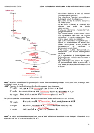 Arlindo Ugulino Netto ● MEDRESUMOS 2016 ● OMF – SISTEMA DIGESTÓRIO
61
www.medresumos.com.br
a) Lactato é formado a partir do Piruvato
(formado pela via glicolítica).
Nos músculos o Piruvato é convertido em
lactato pela lactato desidrogenase.
b) Lactato através da corrente sangüínea
vai para o fígado.
c) No fígado, o lactato é convertido em
piruvato pela ação da lactato
desidrogenase.
O piruvato não forma o fosfoenolpiruvato
(reação irreversível).
d) O piruvato penetra na mitocôndria e sofre
uma carboxilação pela ação da piruvato
carboxilase, formando oxaloacetato. Essa
enzima requer biotina como cofator.
e) O oxaloacetato não é transportado para o
citosol e é transformado em malato pela
malato desidrogenase, a qual através de
transportadores de membrana é
transportado para o citosol.
f) No citosol, o malato é transformado em
oxaloacetato pela malato desidrogenase
citosólica.
g) O oxaloacetato é descarboxilado pela
fosfoenolpiruvato carboxicinase, formando o
fosfoenolpiruvato.
h) O fosfoenolpiruvato, através das reações
da gliconeogênese, forma a glicose-6-P, a
qual pela ação de glicose-6-fosfatase, forma
a glicose.
OBS
11
: A glicose formada pela via gliconeogênica segue pela corrente sangüínea e é usado como fonte de energia pelos
músculos e outros tecidos.
OBS
12
: Reações da via glicolítica que não são utilizadas pela gliconeogênese.
1ª reação:
3ª reação:
10ª reação:
Na gliconeogênense, essas reações, por serem irreversíveis, serão catalisadas por novas enzimas:
10ª reação:
3ª reação:
1ª reação:
OBS
13
: A via da gliconeogênese requer gasto de ATP, sem ter nenhum rendimento. Essa energia é proveniente da β-
oxidação, que nos dá uma boa produção de ATP.
 
