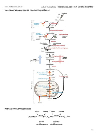 Arlindo Ugulino Netto ● MEDRESUMOS 2016 ● OMF – SISTEMA DIGESTÓRIO
63
www.medresumos.com.br
VIAS OPOSTAS DA GLICÓLISE E DA GLICONEOGÊNESE
INIBIÇÃO DA GLICONEOGÊNESE
 