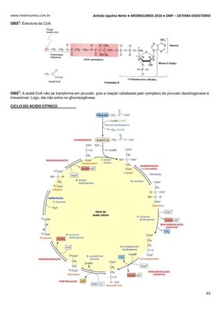 Arlindo Ugulino Netto ● MEDRESUMOS 2016 ● OMF – SISTEMA DIGESTÓRIO
65
www.medresumos.com.br
OBS
2
: Estrutura da CoA.
OBS
3
: A acetil CoA não se transforma em piruvato, pois a reação catalisada pelo complexo da piruvato desidrogenase é
irreversível. Logo, ela não entra na gliconeogênese.
CICLO DO ÁCIDO CÍTRICO
 