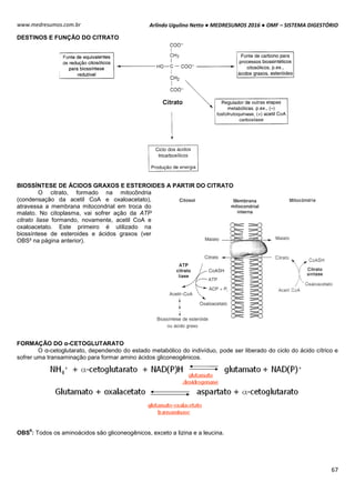 Arlindo Ugulino Netto ● MEDRESUMOS 2016 ● OMF – SISTEMA DIGESTÓRIO
67
www.medresumos.com.br
DESTINOS E FUNÇÃO DO CITRATO
BIOSSÍNTESE DE ÁCIDOS GRAXOS E ESTEROIDES A PARTIR DO CITRATO
O citrato, formado na mitocôndria
(condensação da acetil CoA e oxaloacetato),
atravessa a membrana mitocondrial em troca do
malato. No citoplasma, vai sofrer ação da ATP
citrato liase formando, novamente, acetil CoA e
oxaloacetato. Este primeiro é utilizado na
biossíntese de esteroides e ácidos graxos (ver
OBS² na página anterior).
FORMAÇÃO DO α-CETOGLUTARATO
O α-cetoglutarato, dependendo do estado metabólico do indivíduo, pode ser liberado do ciclo do ácido cítrico e
sofrer uma transaminação para formar amino ácidos gliconeogênicos.
OBS
6
: Todos os aminoácidos são gliconeogênicos, exceto a lizina e a leucina.
 