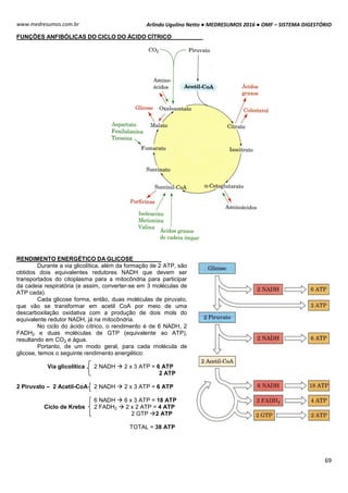 Arlindo Ugulino Netto ● MEDRESUMOS 2016 ● OMF – SISTEMA DIGESTÓRIO
69
www.medresumos.com.br
FUNÇÕES ANFIBÓLICAS DO CICLO DO ÁCIDO CÍTRICO
RENDIMENTO ENERGÉTICO DA GLICOSE
Durante a via glicolítica, além da formação de 2 ATP, são
obtidos dois equivalentes redutores NADH que devem ser
transportados do citoplasma para a mitocôndria para participar
da cadeia respiratória (e assim, converter-se em 3 moléculas de
ATP cada).
Cada glicose forma, então, duas moléculas de piruvato,
que vão se transformar em acetil CoA por meio de uma
descarboxilação oxidativa com a produção de dois mols do
equivalente redutor NADH, já na mitocôndria.
No ciclo do ácido cítrico, o rendimento é de 6 NADH, 2
FADH2 e duas moléculas de GTP (equivalente ao ATP),
resultando em CO2 e água.
Portanto, de um modo geral, para cada molécula de
glicose, temos o seguinte rendimento energético:
Via glicolítica 2 NADH  2 x 3 ATP = 6 ATP
2 ATP
2 Piruvato – 2 Acetil-CoA 2 NADH  2 x 3 ATP = 6 ATP
Ciclo de Krebs
6 NADH  6 x 3 ATP = 18 ATP
2 FADH2  2 x 2 ATP = 4 ATP
2 GTP 2 ATP
TOTAL = 38 ATP
 