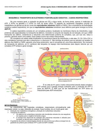 Arlindo Ugulino Netto ● MEDRESUMOS 2016 ● OMF – SISTEMA DIGESTÓRIO
70
www.medresumos.com.br
BIOQUÍMICA: TRANSPORTE DE ELÉTRONS E FOSFORILAÇÃO OXIDATIVA – CADEIA RESPIRATÓRIA
De uma maneira geral, a oxidação da glicose em CO2 e água rende, de forma direta, apenas 4 moléculas de
ATP: 2 ATPs na glicólise e 2 ATPs no ciclo do ácido cítrico. O restante do rendimento energético oriundo do
metabolismo da glicose se dá por conta dos equivalentes redutores (NADH e FADH). Daí a importância da fosforilação
oxidativa (cadeia respiratória), em que os equivalentes redutores transferem seus elétrons para gerar energia na forma
ADP+Pi.
A cadeia respiratória consiste em um complexo proteico, localizado na membrana interna da mitocôndria, cujas
proteínas são especializadas no transporte de elétrons. Consiste no conjunto de reações de oxi-redução, em que o NAD
transporta seu elétron, oxidando-se e reduzindo uma determinada proteína do complexo, que, por sua vez, reduz a
próxima, gerando assim uma cadeia. Essa cadeia ocorre nas cristas mitocondriais.
Os complexos da cadeia estão localizados na membrana interna da mitocôndria, e são eles: CI, CII, CIII e CIV; e
dois complexos menores que são a ubiquinona e o citocromo C. São bombas de prótons que se reduzem ao receber os
elétrons dos NADH e FADH, gerando uma força protomotriz, que é convertida em uma força eletromotriz. No momento
do transporte de elétrons, os H+ (prótons) são lançados no espaço inter-membranoso para depois retornar por um
complexo ATP sintase e gerar energia.
É na volta do H+ para a matriz mitocondrial através deste complexo
ATP sintase que é gerada energia suficiente para a produção de ATP a
partir de ADP+Pi. O ADP que vai ser transformado em ATP entra na
mitocôndria pela ADP translocase.
MITOCÔNDRIAS
As mitocôndrias são organelas complexas, responsáveis principalmente pela
respiração celular, ou seja, obtenção de energia. Suas funções, de um modo geral, são:
 Oxidação dos metabólicos energéticos: produção de nucleotídeos reduzidos.
 Transporte de elétrons:
 Os elétrons de nucleotídeos reduzidos são transferidos através de uma sequência
de reações para o oxigênio formando a água.
 A energia livre disponível da oxidação das coenzimas reduzidas é utilizada para
bombear os átomos para o exterior da mitocôndria.
 O gradiente de prótons é descarregado através de uma enzima que utiliza a energia livre do
gradiente de prótons para sintetizar ATP a partir de ADP e fosfato.
 