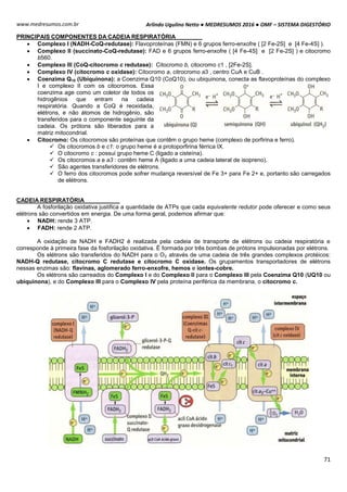 Arlindo Ugulino Netto ● MEDRESUMOS 2016 ● OMF – SISTEMA DIGESTÓRIO
71
www.medresumos.com.br
PRINCIPAIS COMPONENTES DA CADEIA RESPIRATÓRIA
 Complexo I (NADH-CoQ-redutase): Flavoproteínas (FMN) e 6 grupos ferro-enxofre ( [2 Fe-2S] e [4 Fe-4S] ).
 Complexo II (succinato-CoQ-redutase): FAD e 6 grupos ferro-enxofre ( [4 Fe-4S] e [2 Fe-2S] ) e citocromo
b560.
 Complexo III (CoQ-citocromo c redutase): Citocromo b, citocromo c1 , [2Fe-2S].
 Complexo IV (citocromo c oxidase): Citocromo a, citrocromo a3 , centro CuA e CuB .
 Coenzima Q10 (Ubiquinona): a Coenzima Q10 (CoQ10), ou ubiquinona, conecta as flavoproteínas do complexo
I e complexo II com os citocromos. Essa
coenzima age como um coletor de todos os
hidrogênios que entram na cadeia
respiratória. Quando a CoQ é reoxidada,
elétrons, e não átomos de hidrogênio, são
transferidos para o componente seguinte da
cadeia. Os prótons são liberados para a
matriz mitocondrial.
 Citocromo: Os citocromos são proteínas que contêm o grupo heme (complexo de porfirina e ferro).
 Os citocromos b e c1: o grupo heme é a protoporfirina férrica IX.
 O citocromo c : possui grupo heme C (ligado a cisteína).
 Os citocromos a e a3 : contêm heme A (ligado a uma cadeia lateral de isopreno).
 São agentes transferidores de elétrons.
 O ferro dos citocromos pode sofrer mudança reversível de Fe 3+ para Fe 2+ e, portanto são carregados
de elétrons.
CADEIA RESPIRATÓRIA
A fosforilação oxidativa justifica a quantidade de ATPs que cada equivalente redutor pode oferecer e como seus
elétrons são convertidos em energia. De uma forma geral, podemos afirmar que:
 NADH: rende 3 ATP.
 FADH: rende 2 ATP.
A oxidação de NADH e FADH2 é realizada pela cadeia de transporte de elétrons ou cadeia respiratória e
corresponde à primeira fase da fosforilação oxidativa. É formada por três bombas de prótons impulsionadas por elétrons.
Os elétrons são transferidos do NADH para o O2 através de uma cadeia de três grandes complexos protéicos:
NADH-Q redutase, citocromo C redutase e citocromo C oxidase. Os grupamentos transportadores de elétrons
nessas enzimas são: flavinas, aglomerado ferro-enxofre, hemos e iontes-cobre.
Os elétrons são carreados do Complexo I e do Complexo II para o Complexo III pela Coenzima Q10 (UQ10 ou
ubiquinona), e do Complexo III para o Complexo IV pela proteína periférica da membrana, o citocromo c.
 