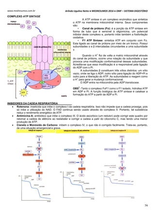 Arlindo Ugulino Netto ● MEDRESUMOS 2016 ● OMF – SISTEMA DIGESTÓRIO
74
www.medresumos.com.br
COMPLEXO ATP SINTASE
A ATP sintase é um complexo enzimático que sintetiza
o ATP na membrana mitocondrial interna. Seus componentes
são:
• Canal de prótons (Fo): é a porção da ATP sintase em
forma de tubo que é sensível à oligomicina, um potencial
inibidor deste complexo e, portanto inibe também a fosforilação
oxidativa.
• F1 ATP Sintase: sintetiza ATP em conjunto com Fo.
Esta ligado ao canal de prótons por meio de um tronco. Possui
subunidades α e β intercaladas circundantes a uma subunidade
γ.
Quando o H
+
flui de volta a matriz mitocondrial através
do canal de prótons, ocorre uma rotação da subunidade γ que
provoca uma modificação conformacional dessas subunidades.
Acredita-se que essa modificação é a responsável pela ligação
do ADP com o Pi.
A subunidades β constituem três sítios distintos: um sítio
vazio, onde se liga o ADP; outro sítio para ligação do ADP+Pi e
outro para a liberação do ATP. As subunidades α reagem como
o H
+
para gerar a mudança conformacional.
O ADP entra na mitocondria pela ADP translocase.
OBS
7
: Tanto o complexo FoF1 como o F1 isolado, hidrolisa ATP
em ADP e Pi. A função biológica da ATP sintase é catalisar a
formação do ATP a partir de ADP e Pi.
INIBIDORES DA CADEIA RESPIRATÓRIA
 Rotenona: inseticida que inibe o complexo I da cadeia respiratória. Isso não impede que a cadeia prossiga, pois
só inibe a utilização do NAD. O FAD continua sendo usado através do complexo II. Portanto, tal substância
reduz o rendimento energético de ATP.
 Antimicina-A: antibiótico que inibe o complexo III. O ácido ascorbico (um redutor) pode corrigir este quadro por
retomar a cadeia de elétrons ao restabeler e corrigir a cadeia a patir do citocromo C, mas tendo uma menor
produção de ATP.
 Cianeto e Monóxido de Carbono: inibem o complexo IV, o que não é corrigido facilmente. Trata-se, portanto,
de uma situação emergencial e grave.
 