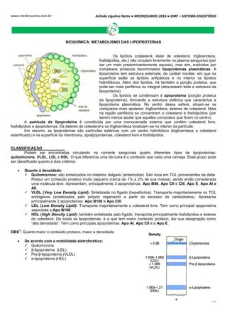 Arlindo Ugulino Netto ● MEDRESUMOS 2016 ● OMF – SISTEMA DIGESTÓRIO
75
www.medresumos.com.br
BIOQUÍMICA: METABOLISMO DAS LIPOPROTEÍNAS
Os lipídios (colesterol, éster de colesterol, triglicerídeos,
fosfolipídios, etc.) não circulam livremente no plasma sanguíneo (por
ser um meio predominantemente aquoso), mas sim, evolvidos por
complexos proteicos denominados lipoproteínas plasmáticas. A
lipoproteína tem estrutura esferoide, de caráter micelar, em que na
superfície estão os lipídios anfipáticos e no interior os lipídios
hidrofóbicos. Além dos lipídios, há também a porção proteica, que
pode ser mais periférica ou integral (atravessam toda a estrutura da
lipoproteína).
Os lipídios se condensam à apoproteína (porção proteica
da lipoproteína), formando a estrutura esférica que caracteriza a
lipoproteína plasmática. No centro dessa esfera, situam-se os
compostos mais apolares: triglicerídeos, ésteres de colesterol. Mais
na região periférica se concentram o colesterol e fosfolipídios (por
serem menos apolar que aqueles compostos que ficam no centro).
A partícula de lipoproteína é constituída por uma monocamada externa que contém colesterol livre,
fosfolipídios e apoproteínas. Os ésteres de colesterol e os triglicerídeos localizam-se no interior da partícula.
Em resumo, as lipoproteínas são partículas esféricas com um centro hidrofóbico (triglicerídeos e colesterol
esterificado) e na superfície da membrana, apolipoproteínas, colesterol livre e fosfolipídios.
CLASSIFICAÇÃO
Podem ser encontradas circulando na corrente sanguínea quatro diferentes tipos de lipoproteínas:
quilomícrons, VLDL, LDL e HDL. O que diferencia uma da outra é o conteúdo que cada uma carrega. Esse grupo pode
ser classificado quanto a dois critérios:
 Quanto à densidade:
 Quilomícrons: são sintetizados no intestino delgado (enterócitos). São ricos em TGL provenientes da dieta.
Possui um conteúdo proteico muito pequeno (cerca de 1% a 2% de sua massa), sendo então considerada
uma molécula leve. Apresentam, principalmente 3 apoproteínas: Apo B48, Apo CII e CIII, Apo E, Apo AI e
AII.
 VLDL (Very Low Density Lipid): Sintetizada no fígado (hepatócitos). Transporta majoritariamente os TGL
endógenos (sintetizados pelo próprio organismo a partir do excesso de carboidratos). Apresenta
principalmente 2 apoproteínas: Apo B100 e Apo CIII.
 LDL (Low Density Lipid): Transporta majoritariamente o colesterol livre. Tem como principal apoproteína
associada a Apo B100.
 HDL (High Density Lipid): também sintetizada pelo fígado, transporta principalmente fosfolipídios e ésteres
de colesterol. De todas as lipoproteínas, é a que tem maior conteúdo proteico, daí sua designação como
“alta densidade”. Tem como principais apoproteínas: Apo AI, Apo CII e a Apo E.
OBS
1
: Quanto maior o conteúdo proteico, maior a densidade.
 De acordo com a mobilidade eletroforética:
 Quilomícrons
 β-lipoproteína (LDL)
 Pre-β-lipoproteína (VLDL)
 α-lipoproteína (HDL)
 