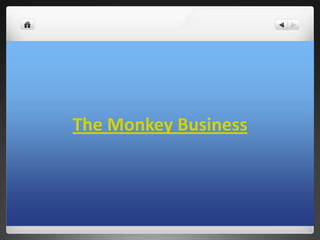 The Monkey Business
 