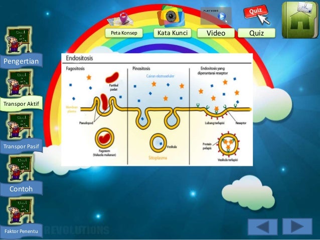 Multimedia Interaktif Transpor Membran Khairotun Nihlah