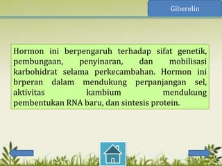 Giberelin




Hormon ini berpengaruh terhadap sifat genetik,
pembungaan,     penyinaran,    dan      mobilisasi
karbohidrat selama perkecambahan. Hormon ini
brperan dalam mendukung perpanjangan sel,
aktivitas         kambium             mendukung
pembentukan RNA baru, dan sintesis protein.
 