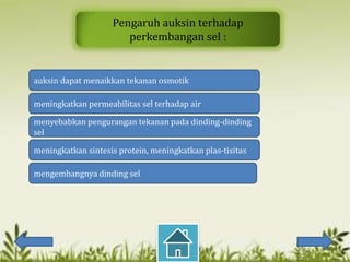 Pengaruh auksin terhadap
                       perkembangan sel :


auksin dapat menaikkan tekanan osmotik

meningkatkan permeabilitas sel terhadap air

menyebabkan pengurangan tekanan pada dinding-dinding
sel

meningkatkan sintesis protein, meningkatkan plas-tisitas

mengembangnya dinding sel
 