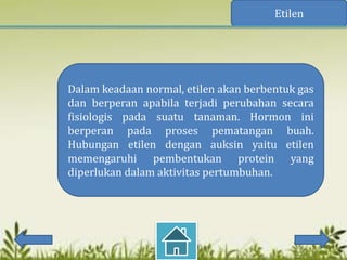 Etilen




Dalam keadaan normal, etilen akan berbentuk gas
dan berperan apabila terjadi perubahan secara
fisiologis pada suatu tanaman. Hormon ini
berperan pada proses pematangan buah.
Hubungan etilen dengan auksin yaitu etilen
memengaruhi pembentukan protein yang
diperlukan dalam aktivitas pertumbuhan.
 