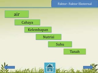 Faktor- Faktor Eksternal


air
      Cahaya
         Kelembapan
                Nutrisi
                          Suhu
                                  Tanah
 