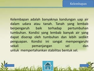 Kelembapan



Kelembapan adalah banyaknya kandungan uap air
dalam udara atau tanah. Tanah yang lembab
berpengaruh    baik   terhadap      pertumbuhan
tumbuhan. Kondisi yang lembab banyak air yang
dapat diserap oleh tumbuhan dan lebih sedikit
penguapan. Kondisi ini sangat mempengaruhi
sekali       pemanjangan          sel       dan
untuk mempertahankan stabilitas bentuk sel.
 