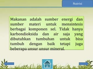 Nutrisi




Makanan adalah sumber energi dan
sumber materi untuk mensintesis
berbagai komponen sel. Tidak hanya
karbondioksida dan air saja yang
dibutuhkan tumbuhan untuk bisa
tumbuh dengan baik tetapi juga
beberapa unsur unsur mineral.
 