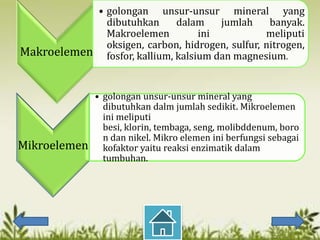• golongan unsur-unsur mineral yang
             dibutuhkan      dalam    jumlah     banyak.
             Makroelemen          ini           meliputi
             oksigen, carbon, hidrogen, sulfur, nitrogen,
Makroelemen fosfor, kallium, kalsium dan magnesium.


              • golongan unsur-unsur mineral yang
                dibutuhkan dalm jumlah sedikit. Mikroelemen
                ini meliputi
                besi, klorin, tembaga, seng, molibddenum, boro
                n dan nikel. Mikro elemen ini berfungsi sebagai
Mikroelemen     kofaktor yaitu reaksi enzimatik dalam
                tumbuhan.
 