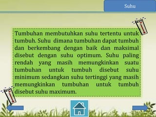 Suhu




Tumbuhan membutuhkan suhu tertentu untuk
tumbuh. Suhu dimana tumbuhan dapat tumbuh
dan berkembang dengan baik dan maksimal
disebut dengan suhu optimum. Suhu paling
rendah yang masih memungkinkan suatu
tumbuhan untuk tumbuh disebut suhu
minimum sedangkan suhu tertinggi yang masih
memungkinkan tumbuhan untuk tumbuh
disebut suhu maximum.
 