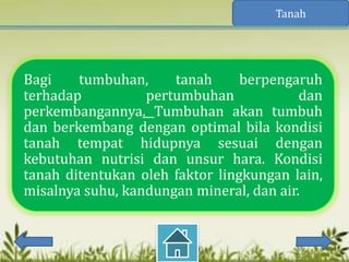 Tanah




Bagi    tumbuhan,     tanah      berpengaruh
terhadap          pertumbuhan             dan
perkembangannya. Tumbuhan akan tumbuh
dan berkembang dengan optimal bila kondisi
tanah tempat hidupnya sesuai dengan
kebutuhan nutrisi dan unsur hara. Kondisi
tanah ditentukan oleh faktor lingkungan lain,
misalnya suhu, kandungan mineral, dan air.
 