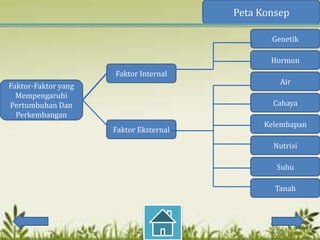 Peta Konsep

                                               Genetik

                                               Hormon
                     Faktor Internal
                                                 Air
Faktor-Faktor yang
  Mempengaruhi
Pertumbuhan Dan                                 Cahaya
  Perkembangan
                                              Kelembapan
                     Faktor Eksternal

                                                Nutrisi

                                                Suhu

                                                Tanah
 