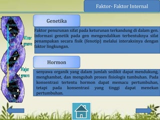 Faktor- Faktor Internal

      Genetika
Faktor penurunan sifat pada keturunan terkandung di dalam gen.
Informasi genetik pada gen mengendalikan terbentuknya sifat
penampakan secara fisik (fenotip) melalui interaksinya dengan
faktor lingkungan.


      Hormon
 senyawa organik yang dalam jumlah sedikit dapat mendukung,
 menghambat, dan mengubah proses fisiologis tumbuhan. Pada
 konsentrasi tertentu hormon dapat memacu pertumbuhan,
 tetapi pada konsentrasi yang tinggi dapat menekan
 pertumbuhan.
 