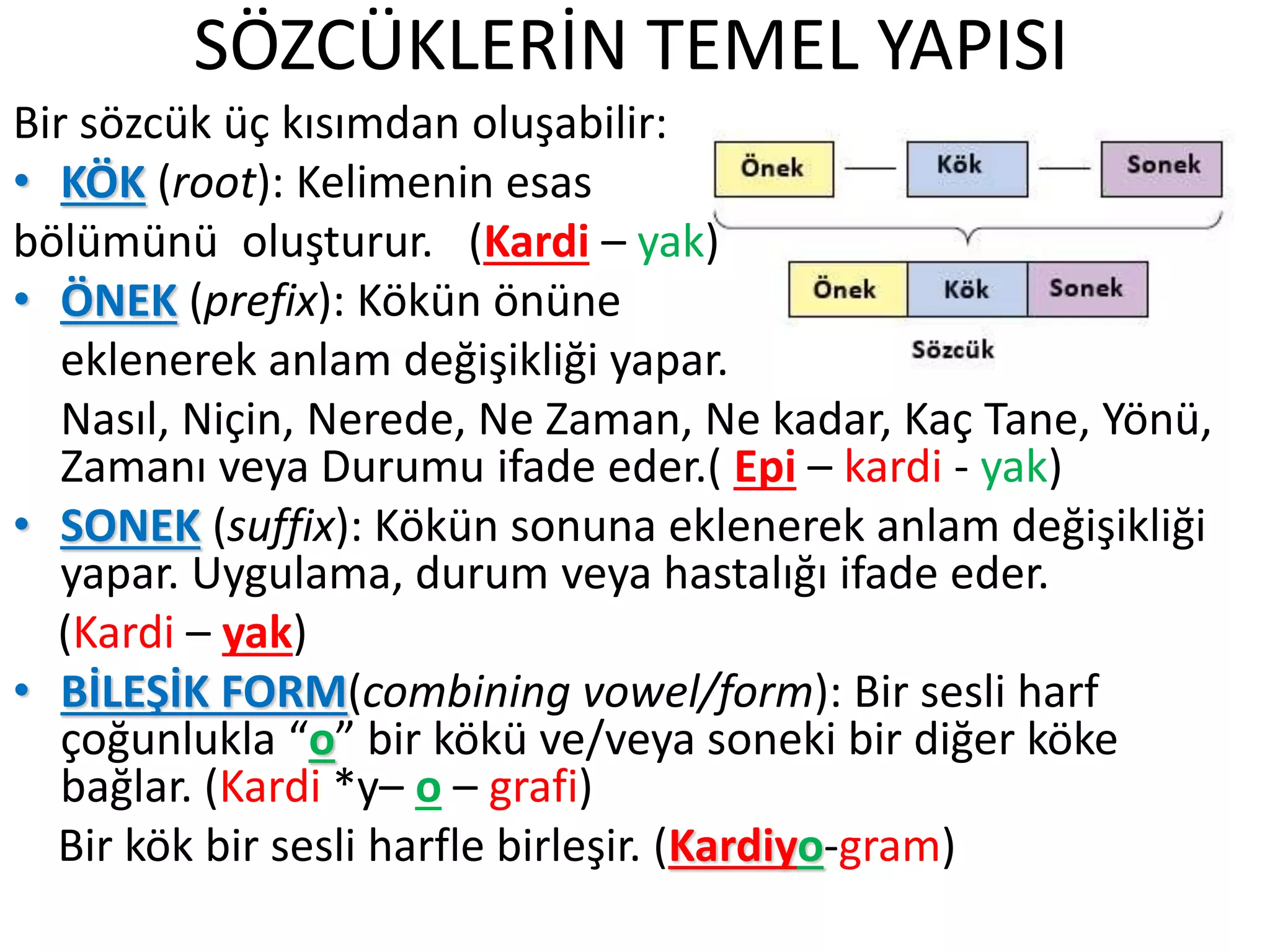 SÖZCÜKLERİN TEMEL YAPISI
Bir sözcük üç kısımdan oluşabilir:
• KÖK (root): Kelimenin esas
bölümünü oluşturur. (Kardi – yak)
• ÖNEK (prefix): Kökün önüne
eklenerek anlam değişikliği yapar.
Nasıl, Niçin, Nerede, Ne Zaman, Ne kadar, Kaç Tane, Yönü,
Zamanı veya Durumu ifade eder.( Epi – kardi - yak)
• SONEK (suffix): Kökün sonuna eklenerek anlam değişikliği
yapar. Uygulama, durum veya hastalığı ifade eder.
(Kardi – yak)
• BİLEŞİK FORM(combining vowel/form): Bir sesli harf
çoğunlukla “o” bir kökü ve/veya soneki bir diğer köke
bağlar. (Kardi *y– o – grafi)
Bir kök bir sesli harfle birleşir. (Kardiyo-gram)
 