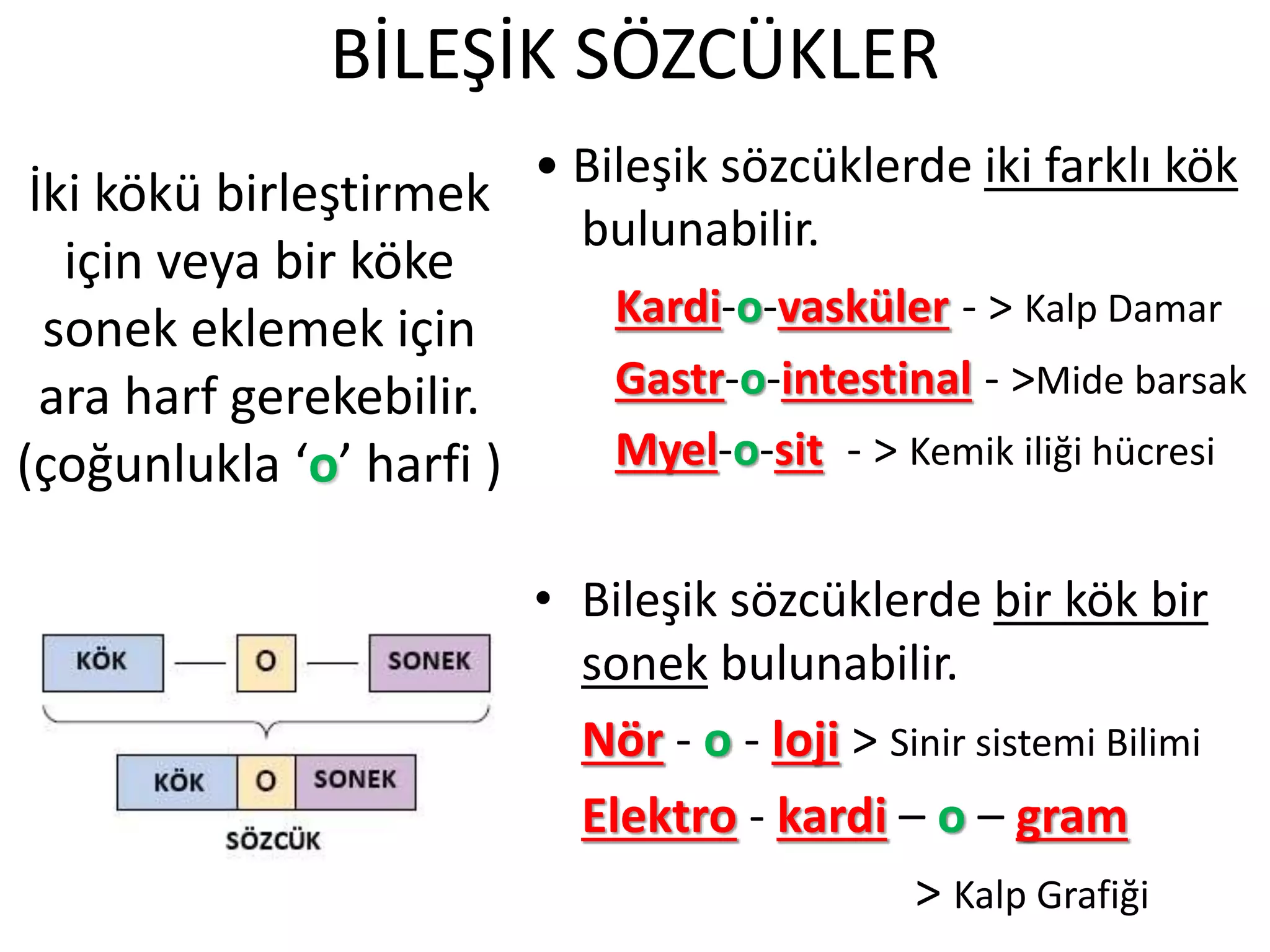 BİLEŞİK SÖZCÜKLER
• Bileşik sözcüklerde iki farklı kök
bulunabilir.
Kardi-o-vasküler - > Kalp Damar
Gastr-o-intestinal - >Mide barsak
Myel-o-sit - > Kemik iliği hücresi
• Bileşik sözcüklerde bir kök bir
sonek bulunabilir.
Nör - o - loji > Sinir sistemi Bilimi
Elektro - kardi – o – gram
> Kalp Grafiği
İki kökü birleştirmek
için veya bir köke
sonek eklemek için
ara harf gerekebilir.
(çoğunlukla ‘o’ harfi )
 