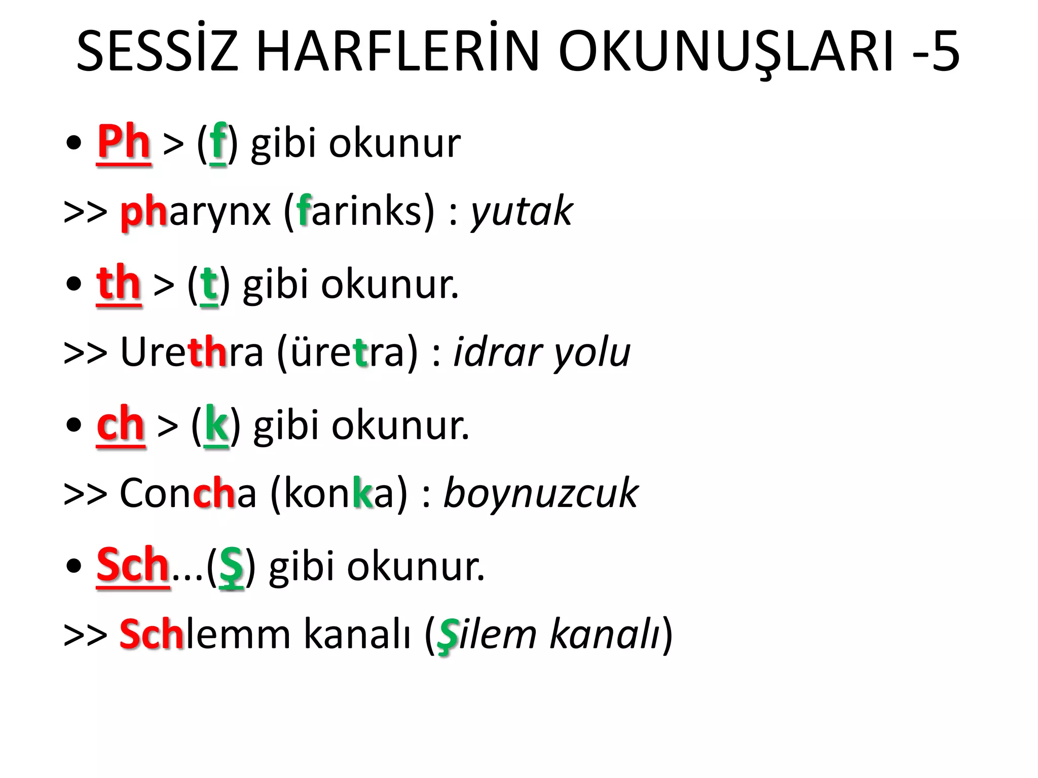 SESSİZ HARFLERİN OKUNUŞLARI -5
• Ph > (f) gibi okunur
>> pharynx (farinks) : yutak
• th > (t) gibi okunur.
>> Urethra (üretra) : idrar yolu
• ch > (k) gibi okunur.
>> Concha (konka) : boynuzcuk
• Sch...(Ş) gibi okunur.
>> Schlemm kanalı (Şilem kanalı)
 