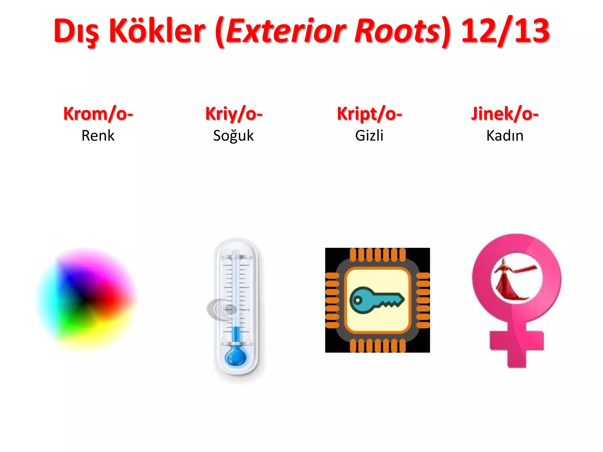 Dış Kökler (Exterior Roots) 12/13
Krom/o-
Renk
Kriy/o-
Soğuk
Kript/o-
Gizli
Jinek/o-
Kadın
 