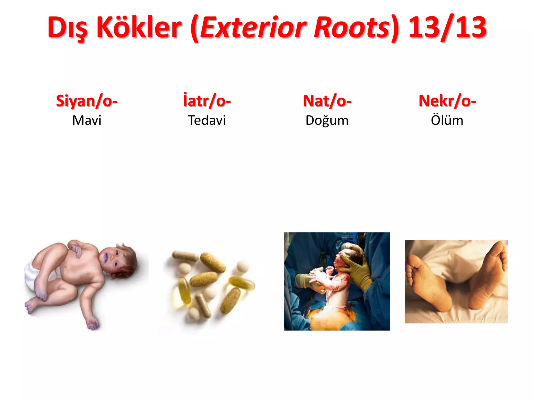 Dış Kökler (Exterior Roots) 13/13
Siyan/o-
Mavi
İatr/o-
Tedavi
Nat/o-
Doğum
Nekr/o-
Ölüm
 