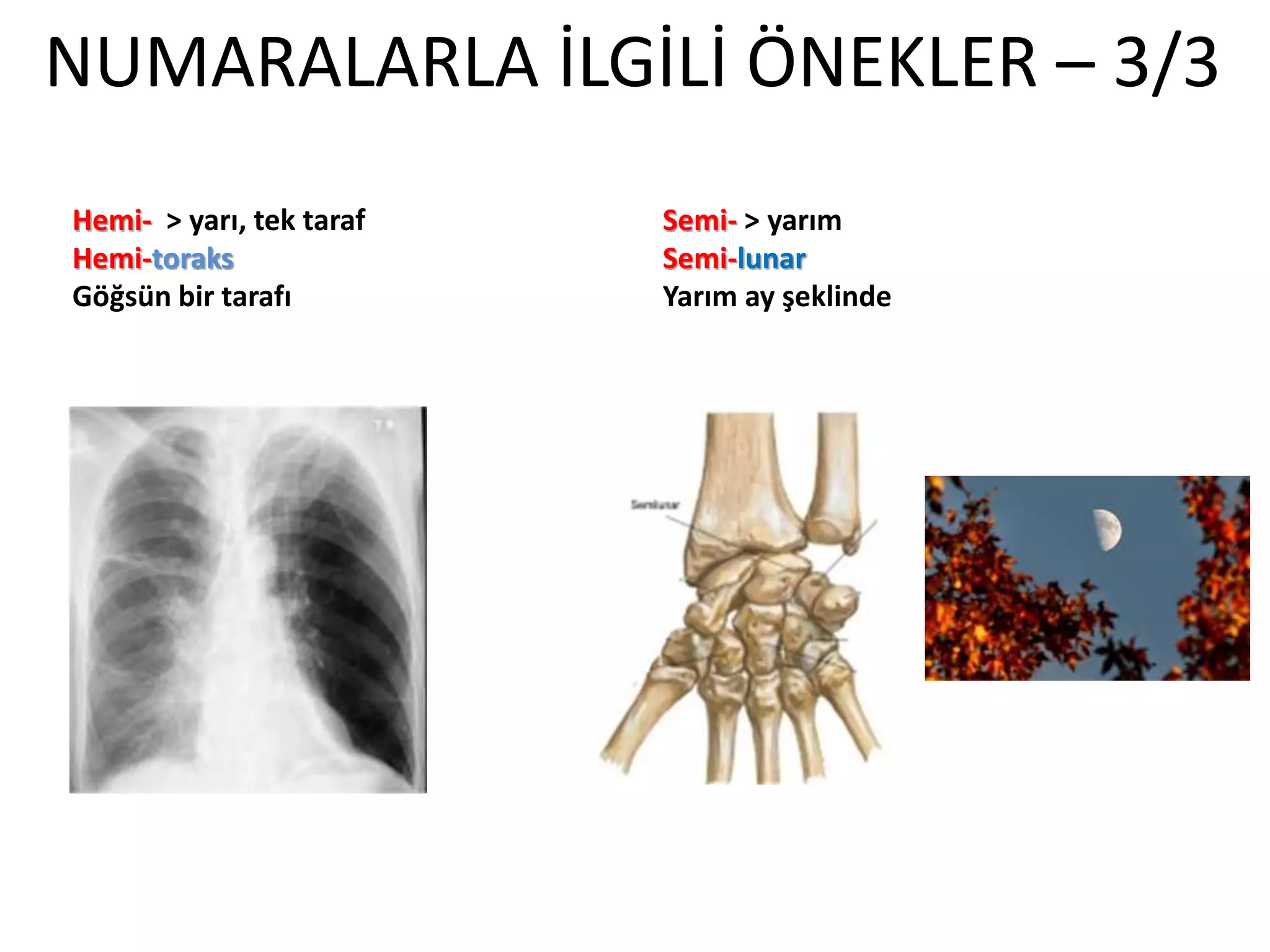 NUMARALARLA İLGİLİ ÖNEKLER – 3/3
Hemi- > yarı, tek taraf
Hemi-toraks
Göğsün bir tarafı
Semi- > yarım
Semi-lunar
Yarım ay şeklinde
 