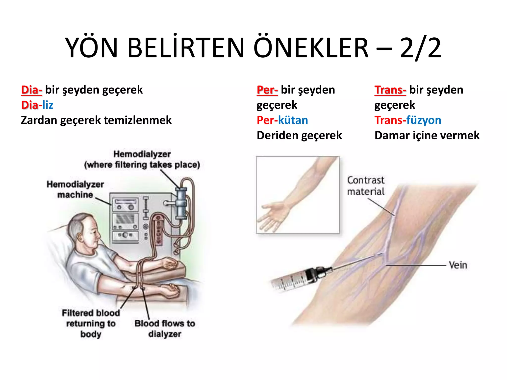 YÖN BELİRTEN ÖNEKLER – 2/2
Dia- bir şeyden geçerek
Dia-liz
Zardan geçerek temizlenmek
Per- bir şeyden
geçerek
Per-kütan
Deriden geçerek
Trans- bir şeyden
geçerek
Trans-füzyon
Damar içine vermek
 