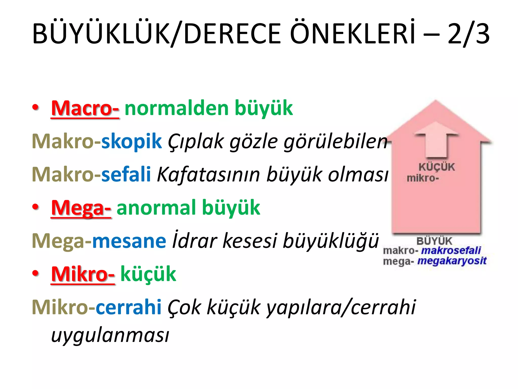 BÜYÜKLÜK/DERECE ÖNEKLERİ – 2/3
• Macro- normalden büyük
Makro-skopik Çıplak gözle görülebilen
Makro-sefali Kafatasının büyük olması
• Mega- anormal büyük
Mega-mesane İdrar kesesi büyüklüğü
• Mikro- küçük
Mikro-cerrahi Çok küçük yapılara/cerrahi
uygulanması
 