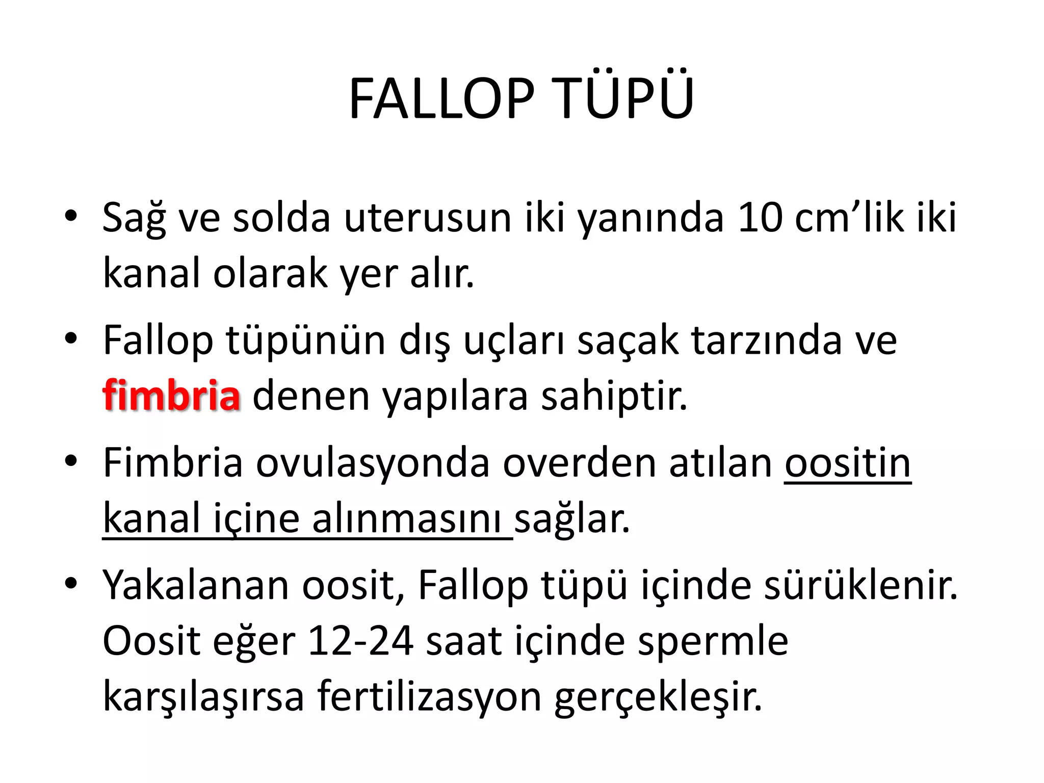 Tıbbi Terminoloji 9 - Erkek ve Kadın Üreme Sistemleri Terimleri | PPTX