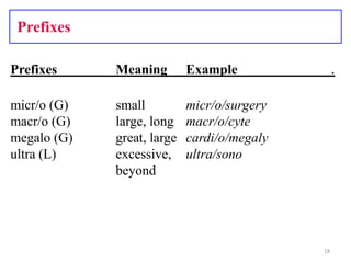 Med term1(terms) | PPTX