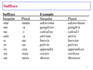 Med term1(terms) | PPTX
