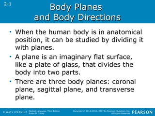 Medical Language, Third Edition 
Susan M. Turley 
Copyright © 2014, 2011, 2007 by Pearson Education, Inc. 
All Rights Reserved 
BBooddyy PPllaanneess 
aanndd BBooddyy DDiirreeccttiioonnss 
2-1 
• When the human body is in anatomical 
position, it can be studied by dividing it 
with planes. 
• A plane is an imaginary flat surface, 
like a plate of glass, that divides the 
body into two parts. 
• There are three body planes: coronal 
plane, sagittal plane, and transverse 
plane. 
 