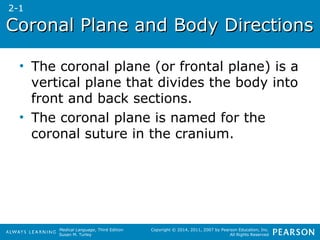 Coronal PPllaannee aanndd BBooddyy DDiirreeccttiioonnss 
• The coronal plane (or frontal plane) is a 
vertical plane that divides the body into 
front and back sections. 
• The coronal plane is named for the 
coronal suture in the cranium. 
Medical Language, Third Edition 
Susan M. Turley 
Copyright © 2014, 2011, 2007 by Pearson Education, Inc. 
All Rights Reserved 
2-1 
 