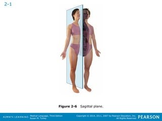 Medical Language, Third Edition 
Susan M. Turley 
Copyright © 2014, 2011, 2007 by Pearson Education, Inc. 
All Rights Reserved 
Figure 2-6 Sagittal plane. 
2-1 
 