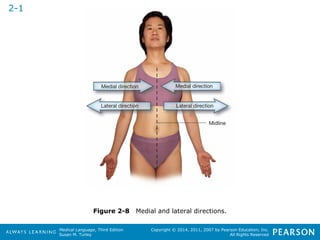 Medical Language, Third Edition 
Susan M. Turley 
Copyright © 2014, 2011, 2007 by Pearson Education, Inc. 
All Rights Reserved 
Figure 2-8 Medial and lateral directions. 
2-1 
 