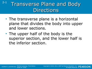 TTrraannssvveerrssee PPllaannee aanndd BBooddyy 
Medical Language, Third Edition 
Susan M. Turley 
Copyright © 2014, 2011, 2007 by Pearson Education, Inc. 
All Rights Reserved 
DDiirreeccttiioonnss 
2-1 
• The transverse plane is a horizontal 
plane that divides the body into upper 
and lower sections. 
• The upper half of the body is the 
superior section, and the lower half is 
the inferior section. 
 