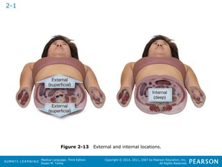 Figure 2-13 External and internal locations. 
Medical Language, Third Edition 
Susan M. Turley 
Copyright © 2014, 2011, 2007 by Pearson Education, Inc. 
All Rights Reserved 
2-1 
 