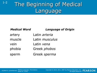 TThhee BBeeggiinnnniinngg ooff MMeeddiiccaall 
Medical Language, Third Edition 
Susan M. Turley 
Copyright © 2014, 2011, 2007 by Pearson Education, Inc. 
All Rights Reserved 
LLaanngguuaaggee 
1-2 
Medical Word Language of Origin 
artery Latin arteria 
muscle Latin musculus 
vein Latin vena 
phobia Greek phobos 
sperm Greek sperma 
 