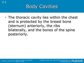 Medical Language, Third Edition 
Susan M. Turley 
Copyright © 2014, 2011, 2007 by Pearson Education, Inc. 
All Rights Reserved 
BBooddyy CCaavviittiieess 
2-2 
• The thoracic cavity lies within the chest 
and is protected by the breast bone 
(sternum) anteriorly, the ribs 
bilaterally, and the bones of the spine 
posteriorly. 
 