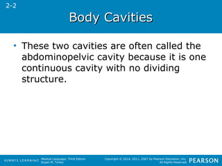 Medical Language, Third Edition 
Susan M. Turley 
Copyright © 2014, 2011, 2007 by Pearson Education, Inc. 
All Rights Reserved 
BBooddyy CCaavviittiieess 
2-2 
• These two cavities are often called the 
abdominopelvic cavity because it is one 
continuous cavity with no dividing 
structure. 
 