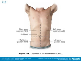 Figure 2-15 Quadrants of the abdominopelvic area. 
Medical Language, Third Edition 
Susan M. Turley 
Copyright © 2014, 2011, 2007 by Pearson Education, Inc. 
All Rights Reserved 
2-2 
 