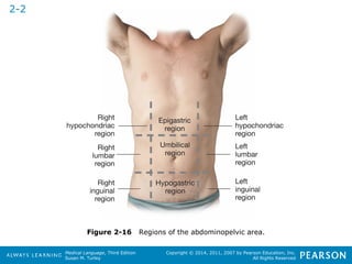 Figure 2-16 Regions of the abdominopelvic area. 
Medical Language, Third Edition 
Susan M. Turley 
Copyright © 2014, 2011, 2007 by Pearson Education, Inc. 
All Rights Reserved 
2-2 
 